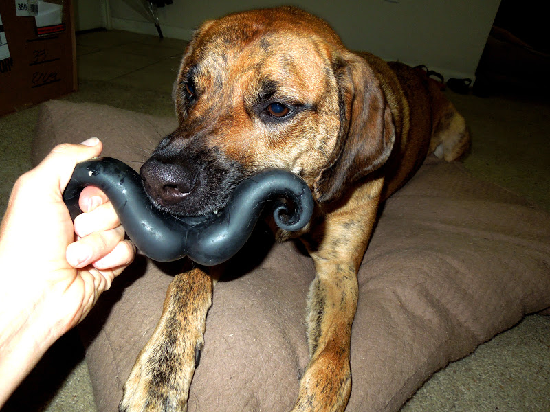 Humunga Stache Dog Toy