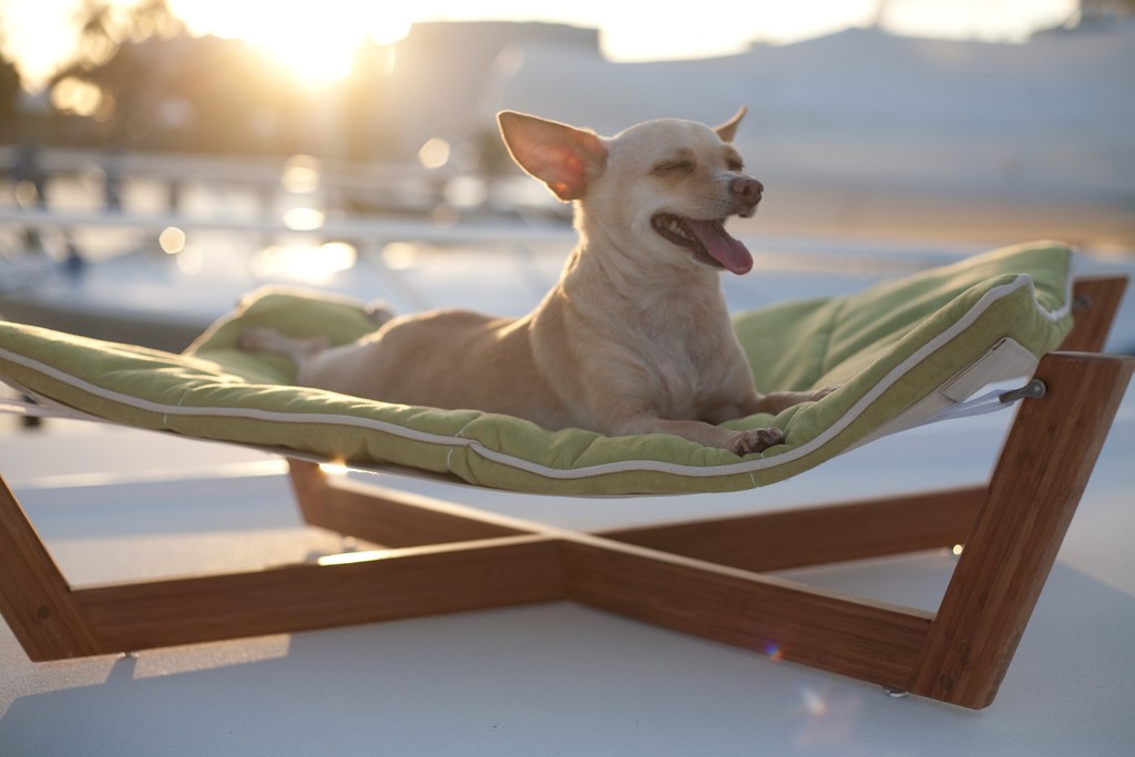 Bamboo Dog Bed by Pet Lounge Studios