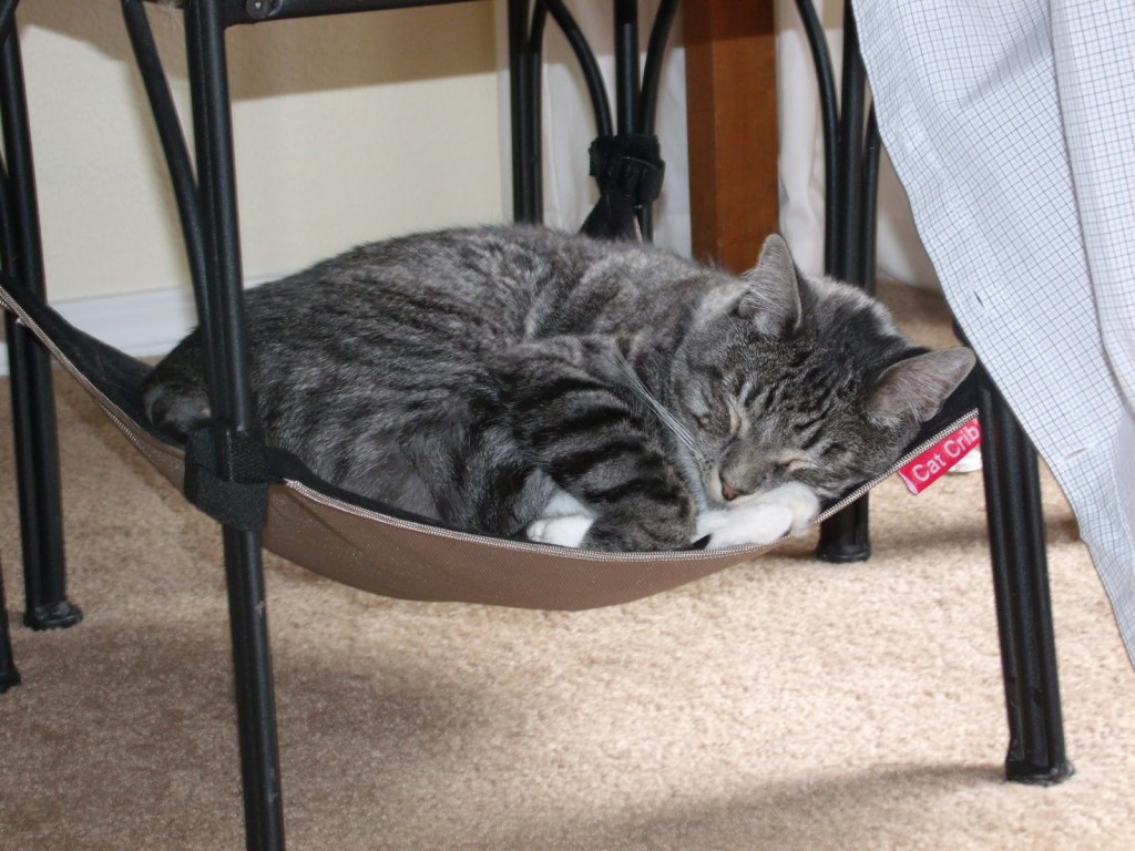 Cat Crib Hammock