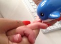 Dolphin Nail Clippers