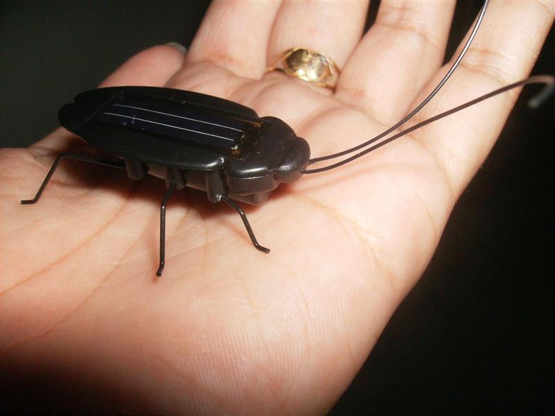 eFashion Solar Power Energy Cockroach