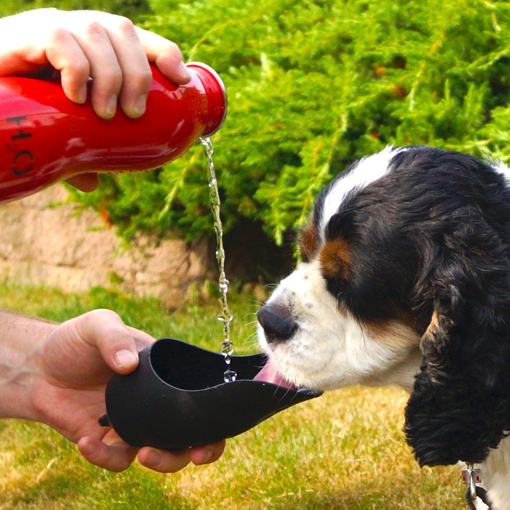 H2O4K9 Dog Water Bottle