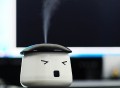 Sauna Boy USB Mini Humidifier