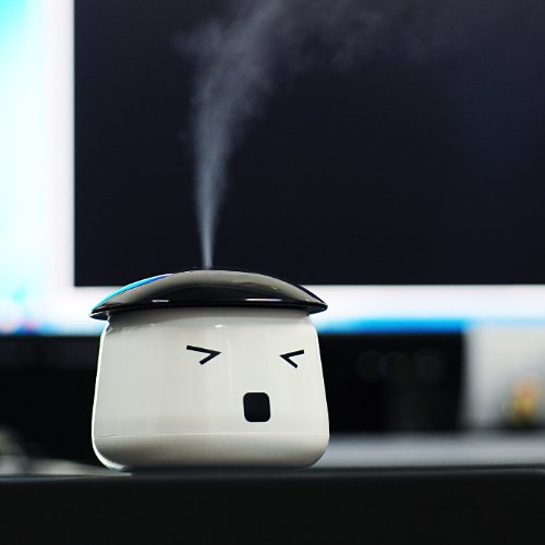 Sauna Boy USB Mini Humidifier