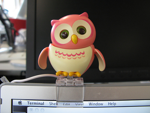 USB Owl