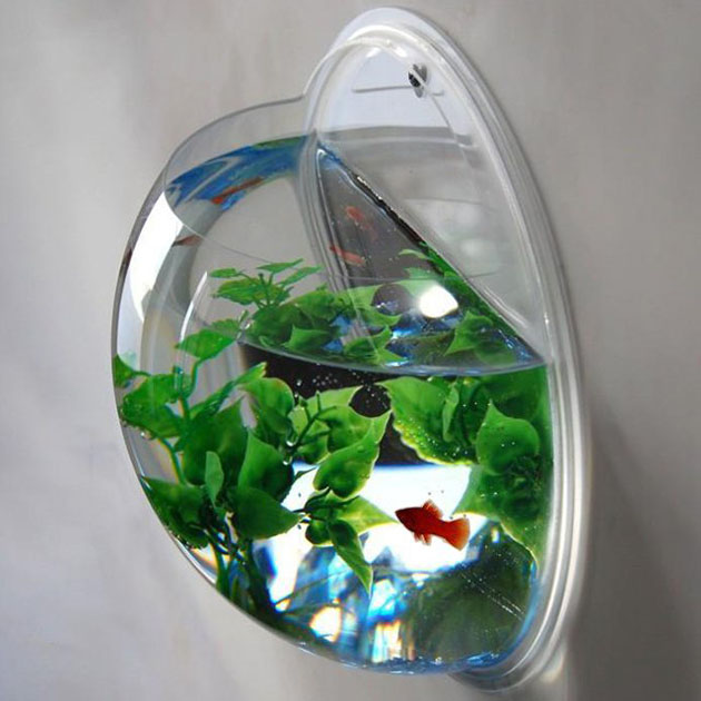 Wall Mounted Acrylic Fish Bowl