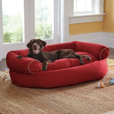 Sofa Pet Bed with Pillow