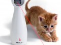 Bolt Interactive Pet Laser Toy