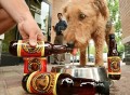 Bowser Beer for Dogs