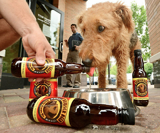 Bowser Beer for Dogs