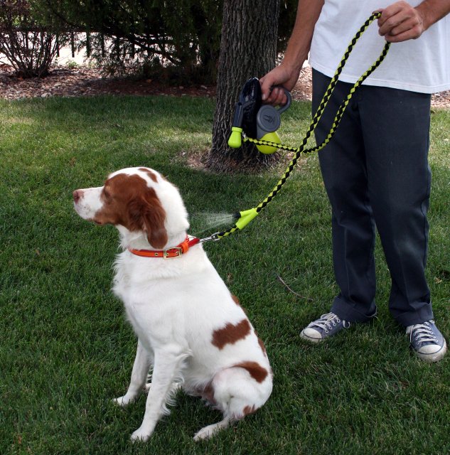 Cool Down Doggie Misting Leash