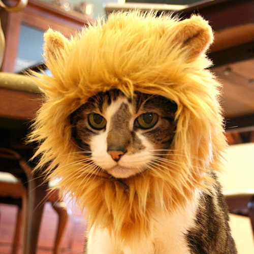 Lion Hat for Pets