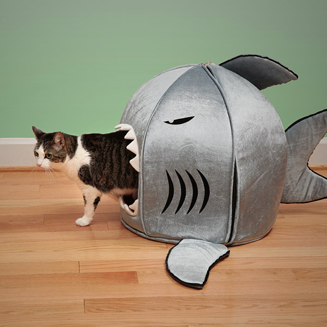 Shark Attack Pet Bed