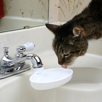 Sink Drink