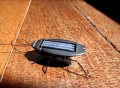 Solar Power Energy Cockroach