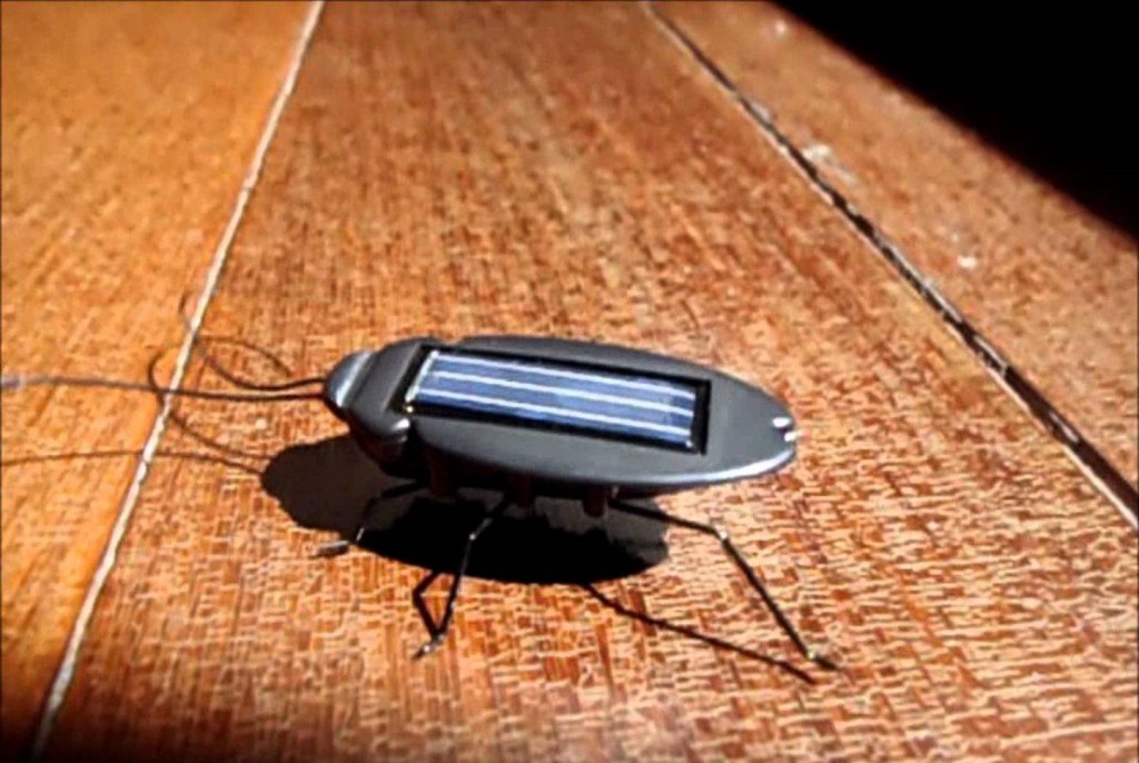 Solar Power Energy Cockroach