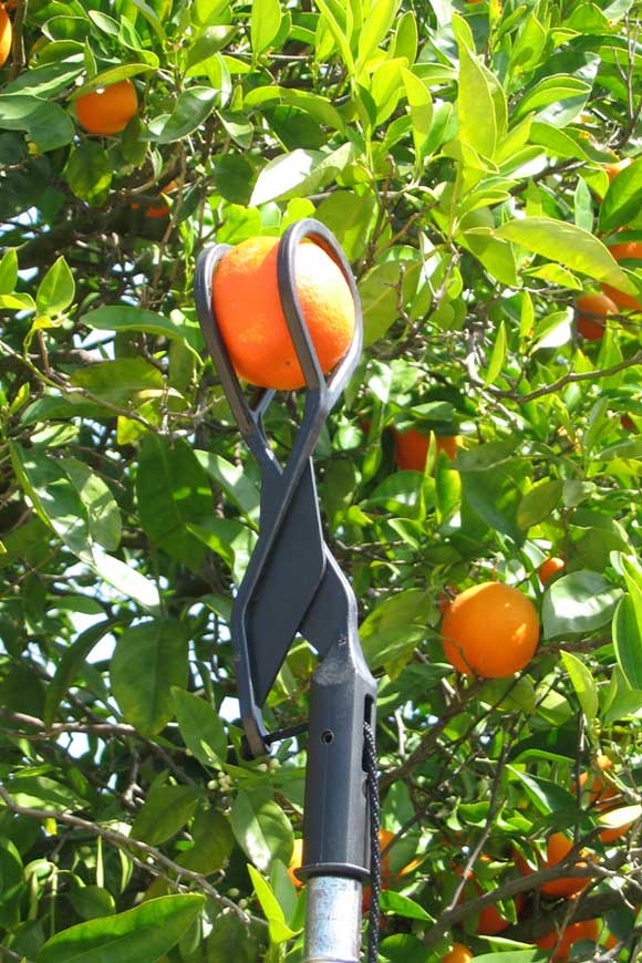 The Twister Fruit Picker