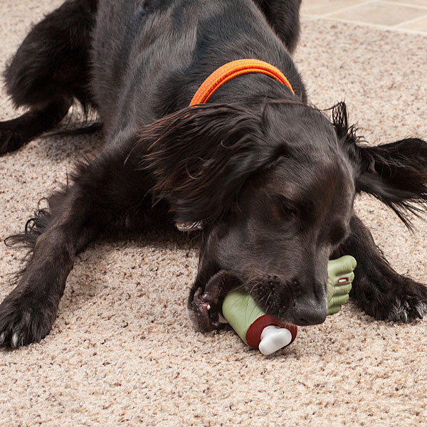 Zombie Foot Dog Toy