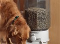 Automatic Pet Feeder