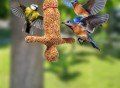 Bungee Bird Feeder