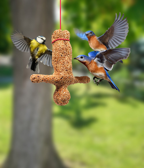 Bungee Bird Feeder