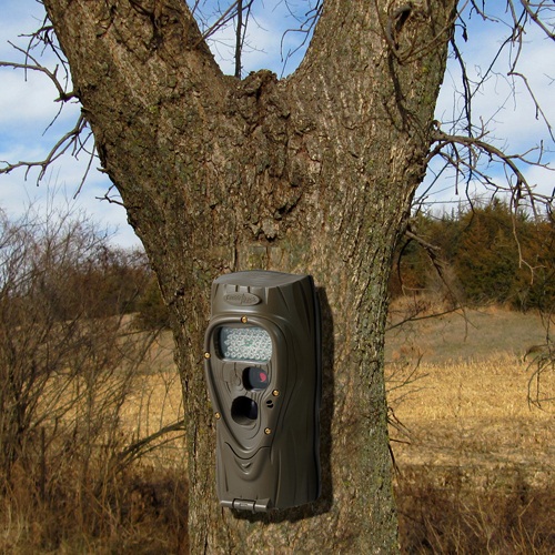 Cuddeback Attack Camera