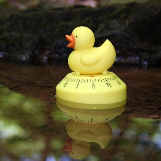 Duck Kitchen Timer by Kikkerland