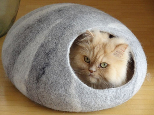 Felted Wool Cat Bed