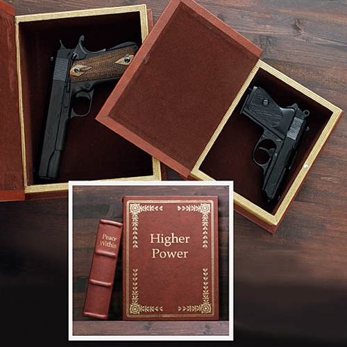 Hidden Real Book Gun Safe