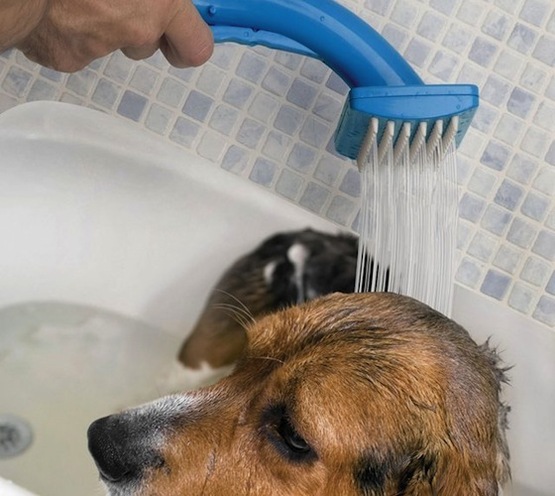 PetZoom Bathe’N Groom