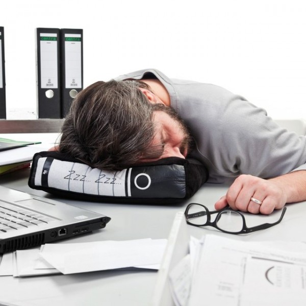 Power Nap Office Pillow