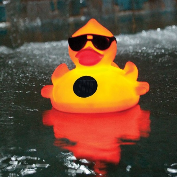 Solar Light Up Duck Pool Chlorinator