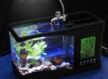 USB Desktop Aquarium