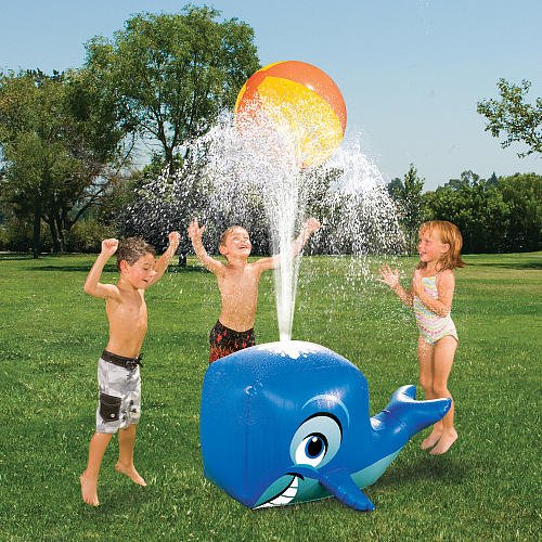 Whale Sprinkler