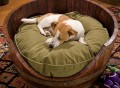 Wine Barrel Dog Bed