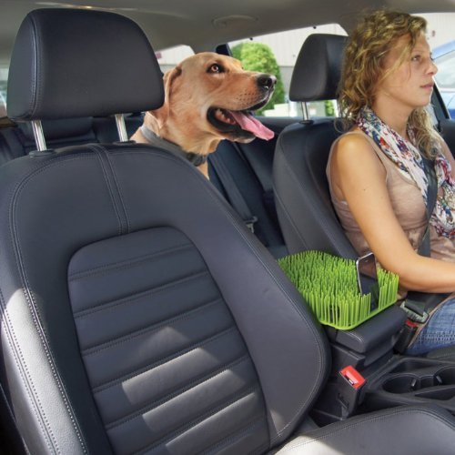 Auto Grass Center Console Dog Cover