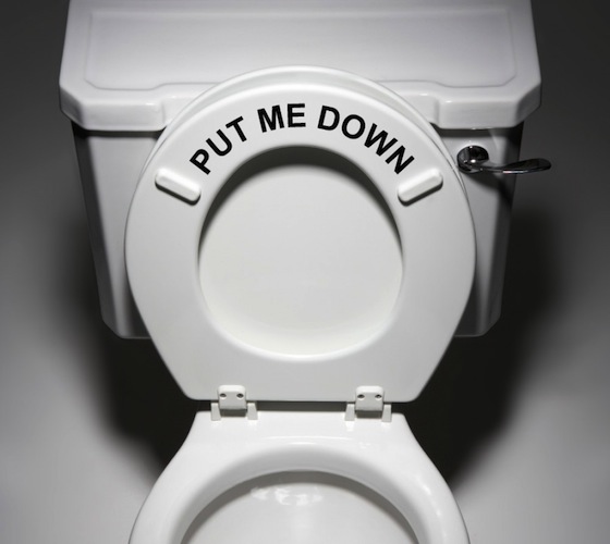 Put Me Down Decal Bathroom Toilet Seat