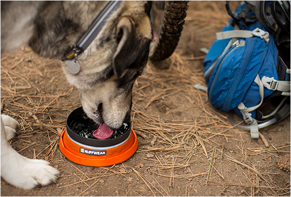 Bivy Bota Collapsible Bowl