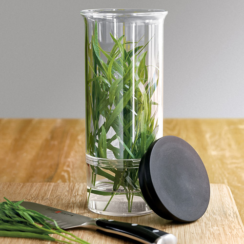 Cuisipro Herb Keeper