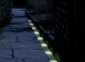 Glow in The Dark Path Markers