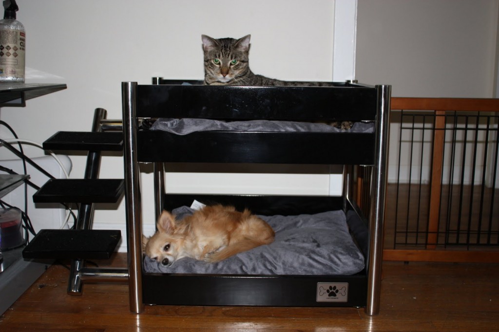 Metropolitan Pet Bunk-Bed
