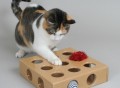 Peek and Play Pet Toy Box