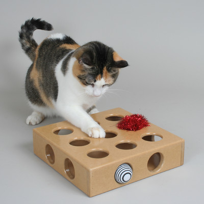 Peek and Play Pet Toy Box