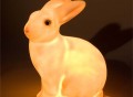 Rabbit Lamp