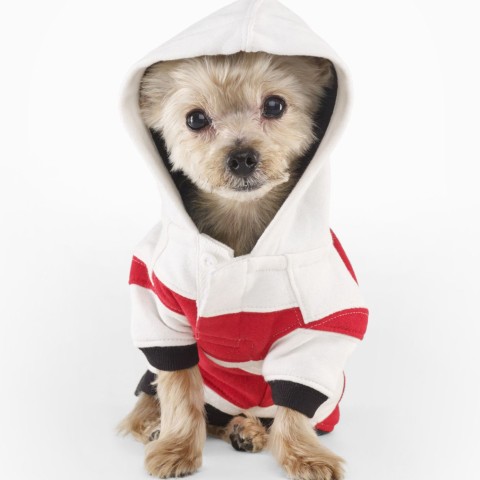 Striped Fleece Dog Hoodie