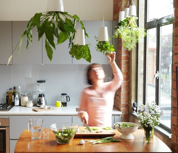 Sky Planter with Ceiling Extensions