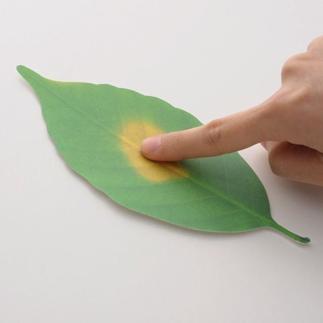 Leaf Thermometer by Hideyuki Kumagai