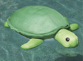 Floating Turtle
