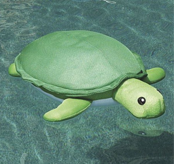 Floating Turtle