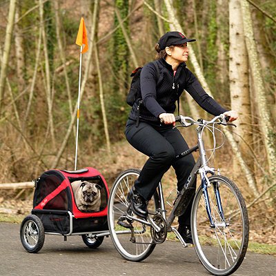 DoggyRide Mini Bike Trailer